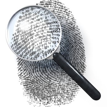 global-fingerprinting-services-canada-2