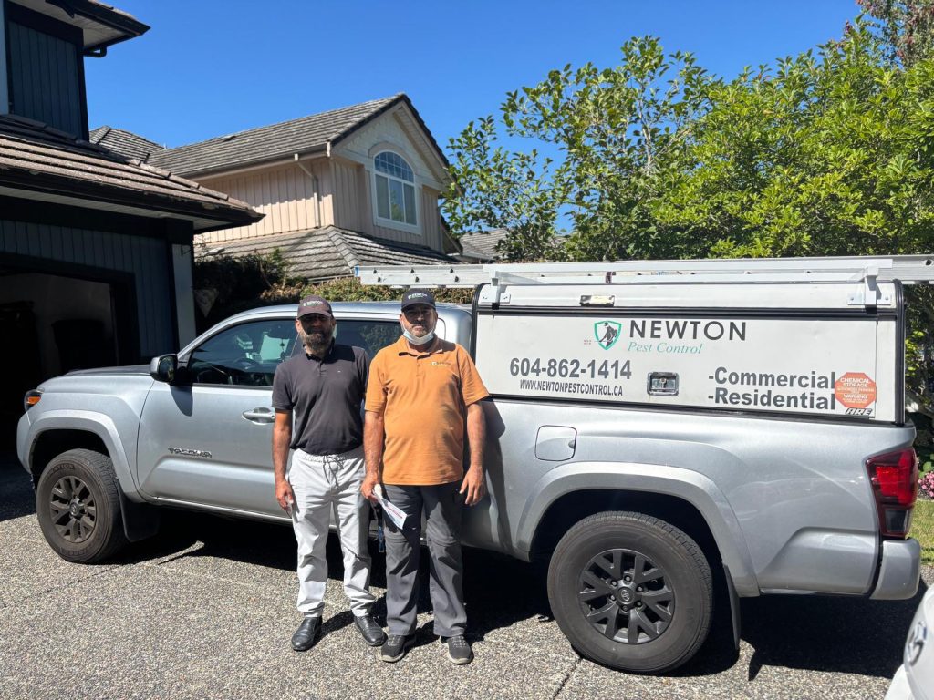 newton-pest-control