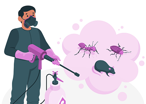 Pest Control